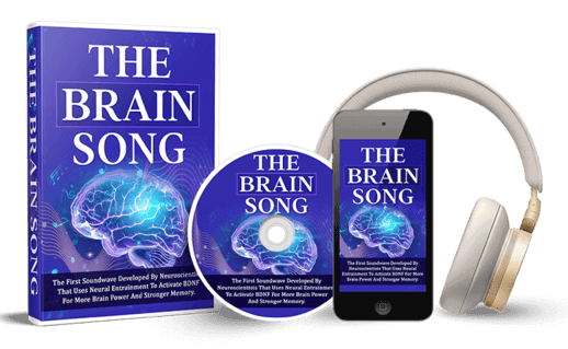 the-brain-song